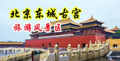 鸡巴好大插的好爽视频中国北京-东城古宫旅游风景区